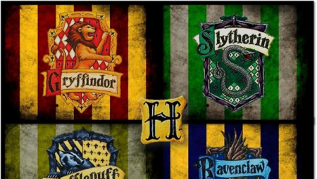 BẠN SẼ THUỘC NHÀ NÀO TRONG NGÔI TRƯỜNG PHÉP THUẬT HOGWARTS?